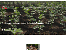 Tablet Screenshot of frucafe.com.br